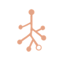 Branchpoints logo